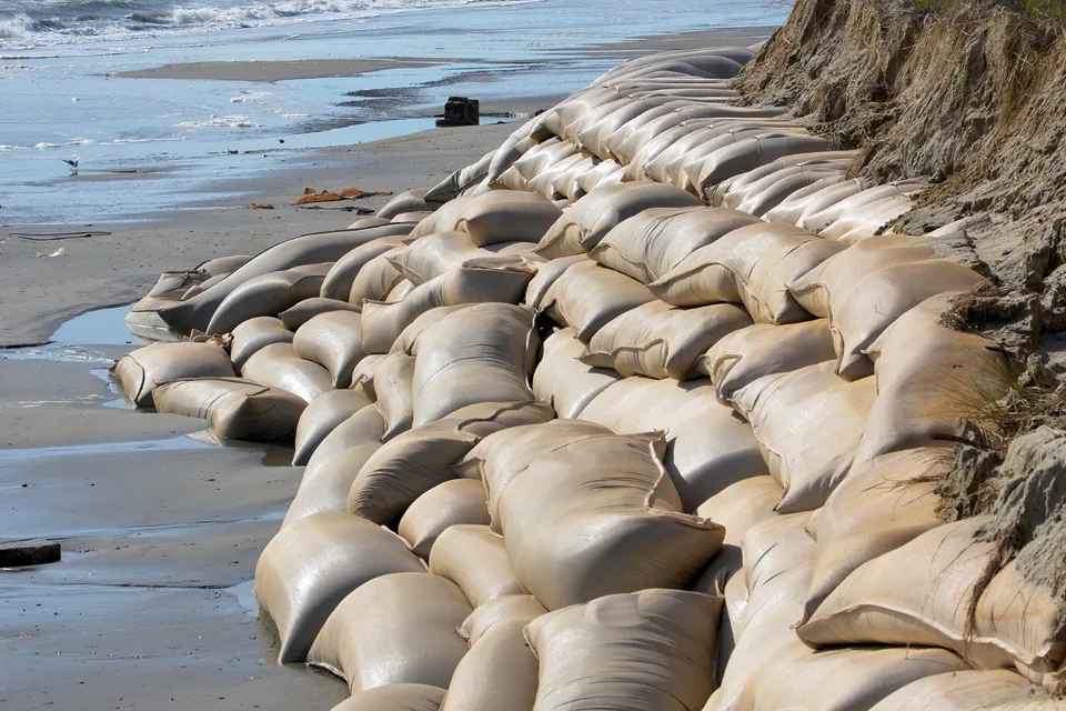 Sandbags protecting an eroded dune along a beach