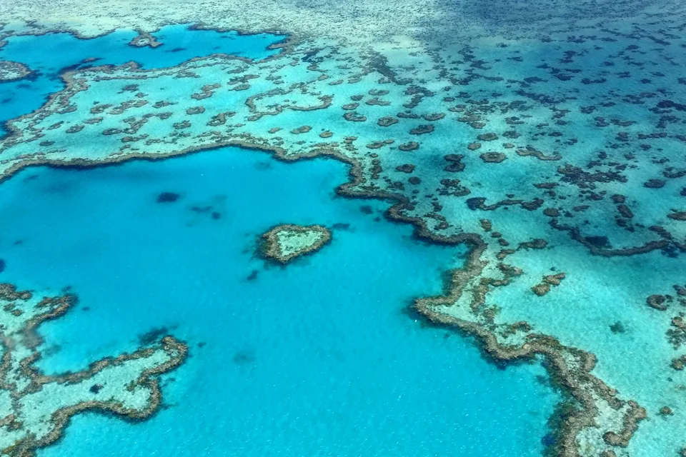 Aerial view of coral reef formations in clear turquoise water